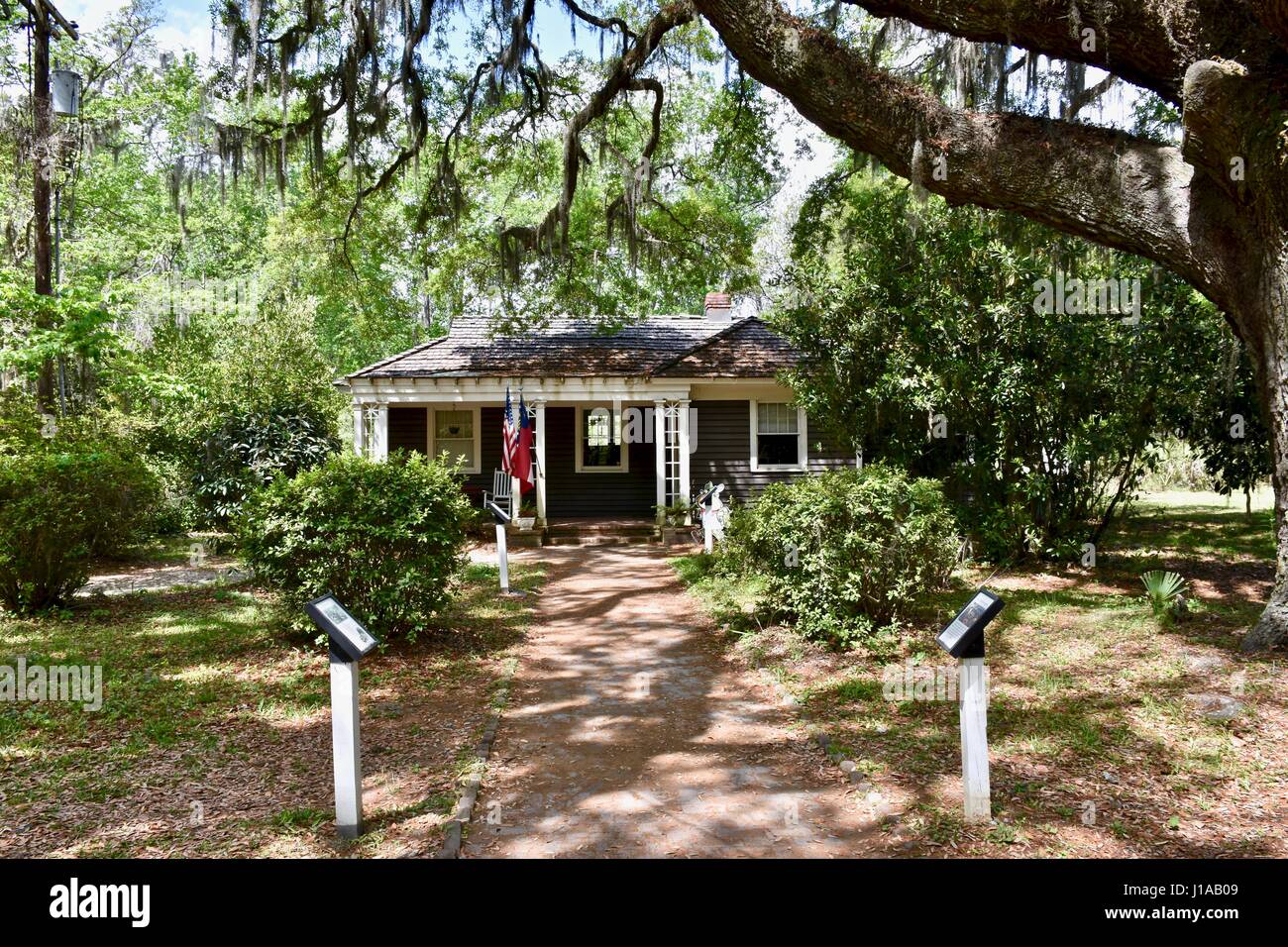 Bellissimo paesaggio con grande muschio Spagnolo coperto alberi di quercia su la Wormsloe Plantation a Savannah, Georgia Foto Stock