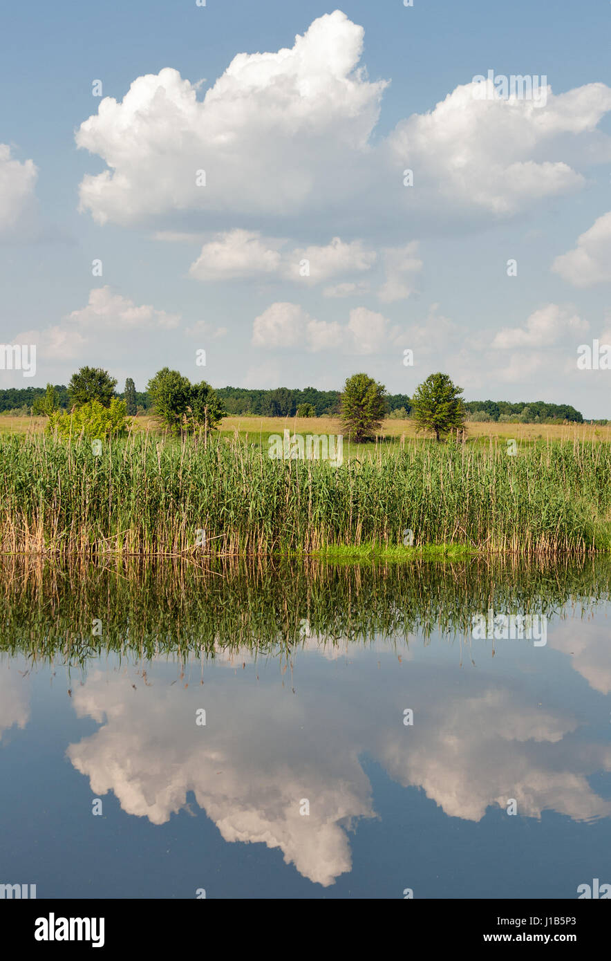 Tranquillo fiume Ros in estate con le nuvole la riflessione, Ucraina Foto Stock