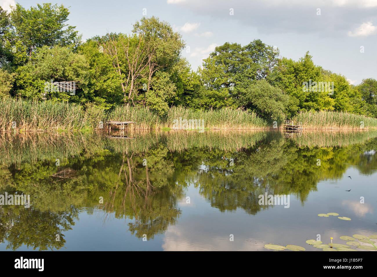 Tranquillo fiume Ros in estate con alberi di riflessione, Ucraina Foto Stock