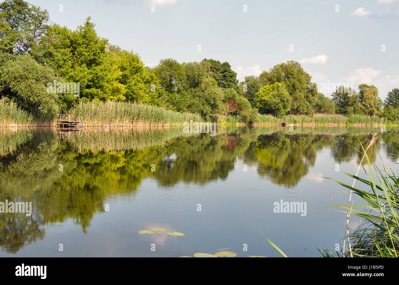 Tranquillo fiume Ros in estate con alberi di riflessione, Ucraina Foto Stock