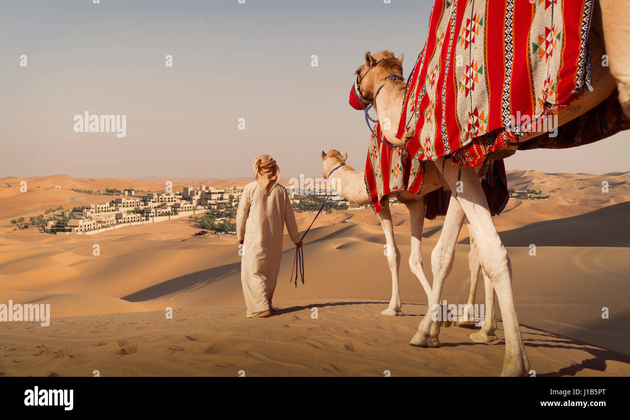 Medio Oriente a piedi man cammelli nel deserto Foto Stock
