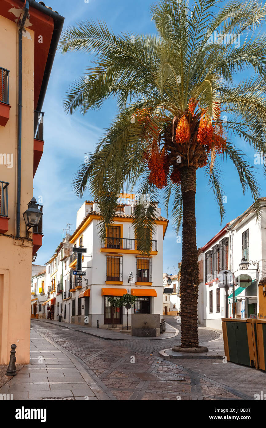 La soleggiata street a Cordoba, Spagna Foto Stock
