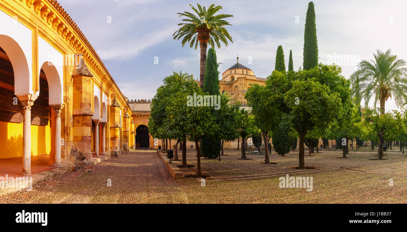 La Corte soleggiata a Cordoba, Spagna Foto Stock