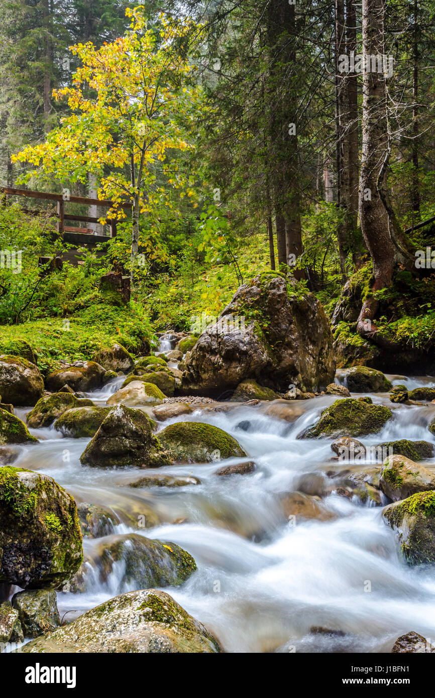 Ruscello di montagna che scorre tra le rocce Foto Stock