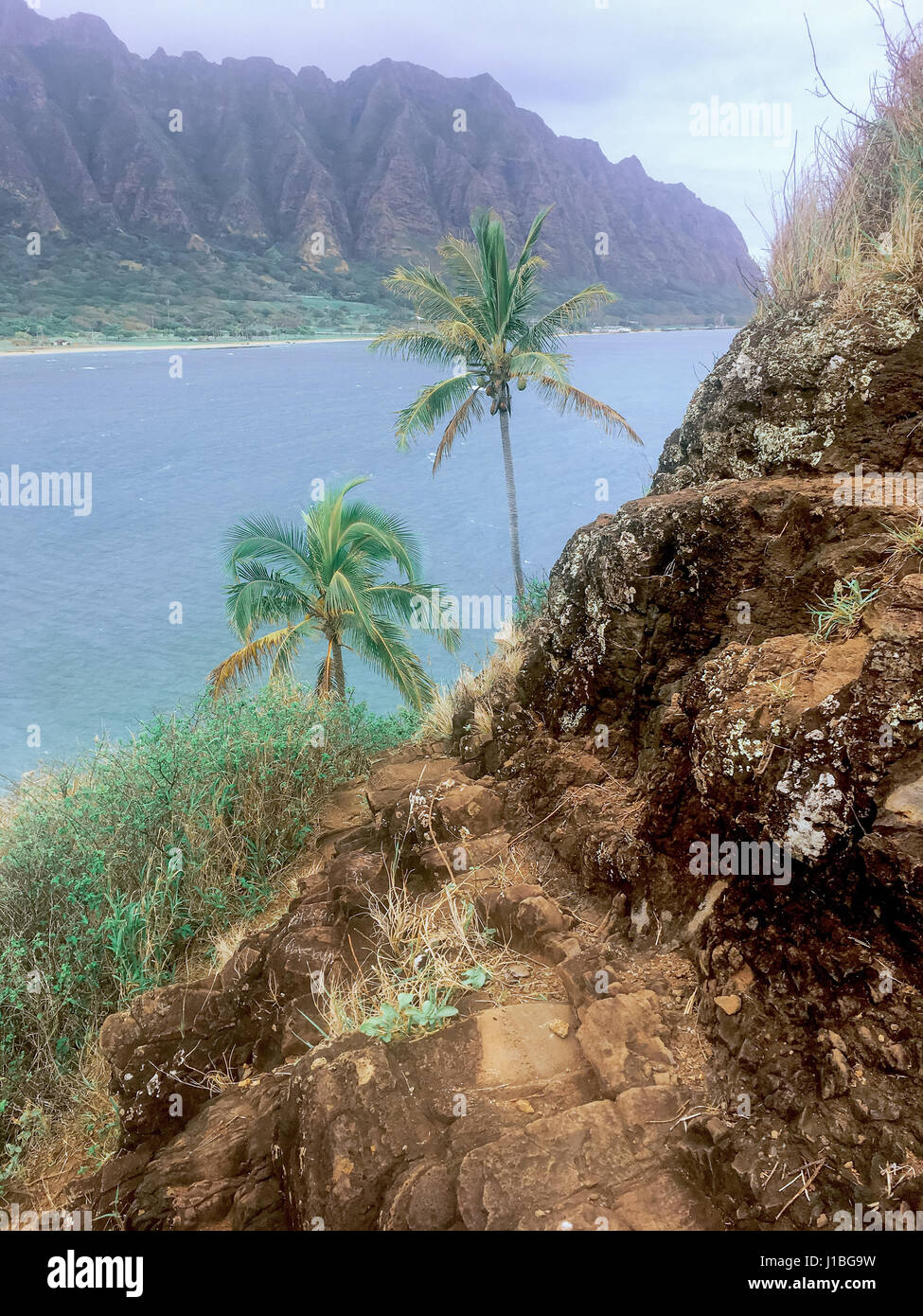 L'isola di Mokoli'i (precedentemente conosciuta come il termine datato 'cappello di Chinaman') è l'isola al largo della costa di Oahu Hawaii. Vista dall'escursione estremamente pericolosa fino alla cima della ripida isola. Foto Stock