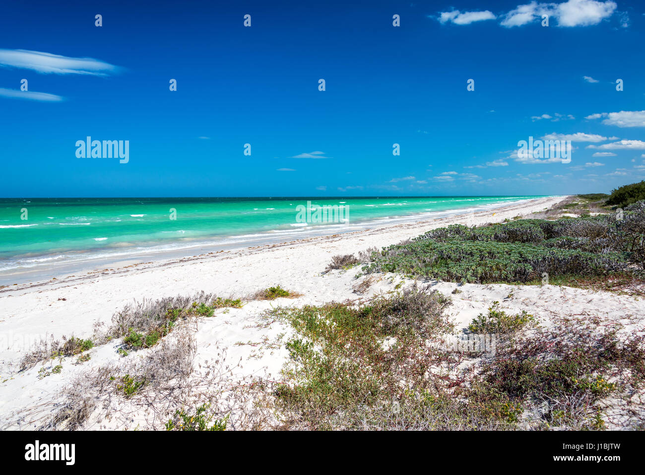 Deserta spiaggia idilliaca sul Mare dei Caraibi vicino Rio Lagartos, Messico Foto Stock