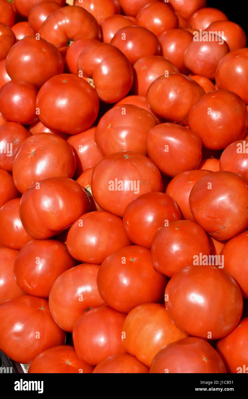 Prodotti locali freschi pomodori (Solanum Lycopersicum) al Charleston farmers market Foto Stock
