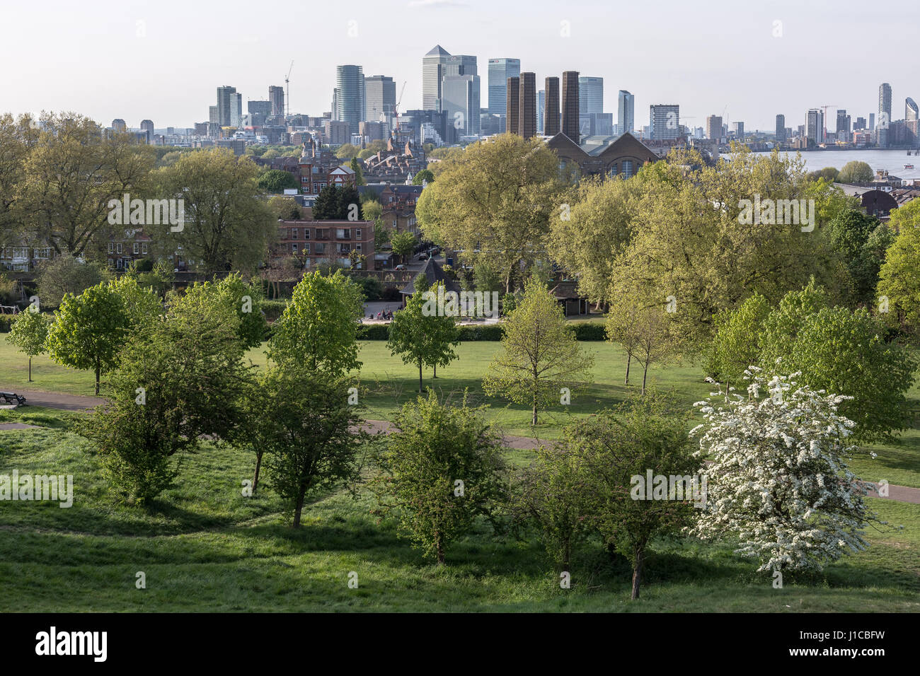 Canary Wharf centro finanziario edifici aziendali visto dal parco di Greenwich, Londra, Regno Unito. Foto Stock