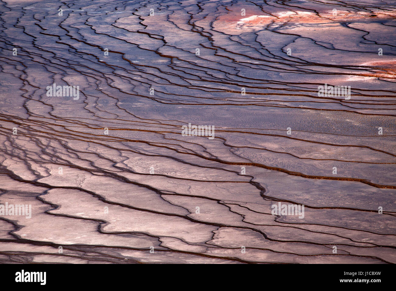 La formazione di depositi minerali, Grand Prismatic Spring, Midway Geyser Basin, il Parco Nazionale di Yellowstone, Wyoming USA Foto Stock