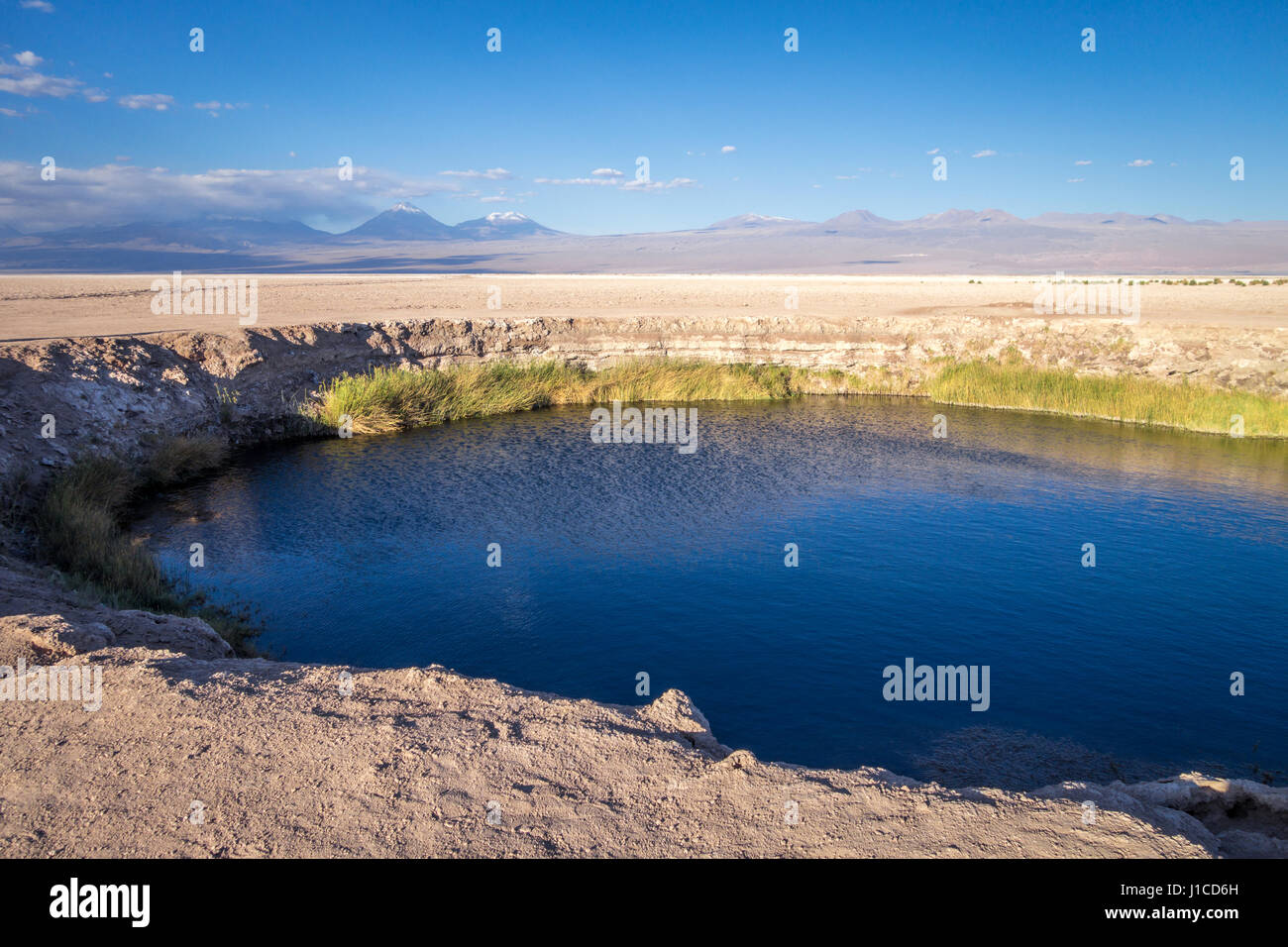 Ojos del salar laguna landmark in San Pedro de Atacama, Cile Foto Stock