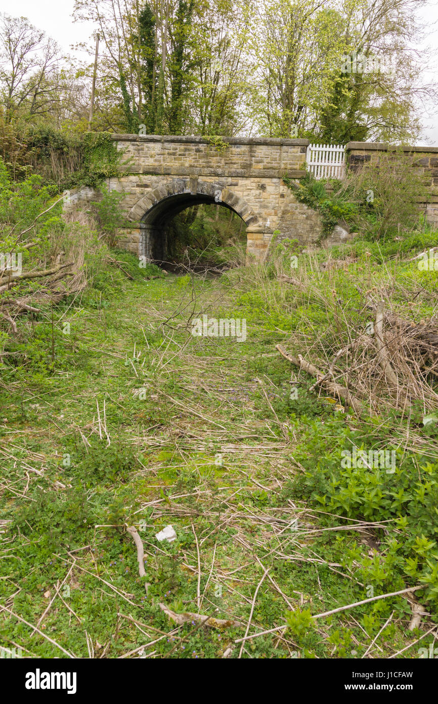 Abbandonata la via del Glyn Valley linea tramviaria a Chirk che una volta servita la cave di pietra nel Ceiriog valley e fu chiusa nel 1935 Foto Stock