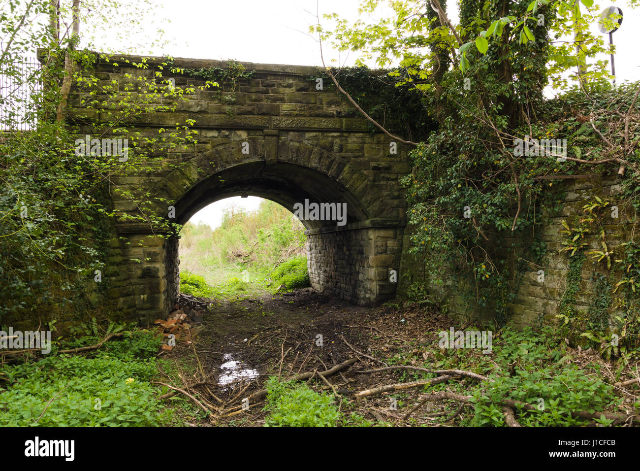 Abbandonata la via del Glyn Valley linea tramviaria a Chirk che una volta servita la cave di pietra nel Ceiriog valley e fu chiusa nel 1935 Foto Stock