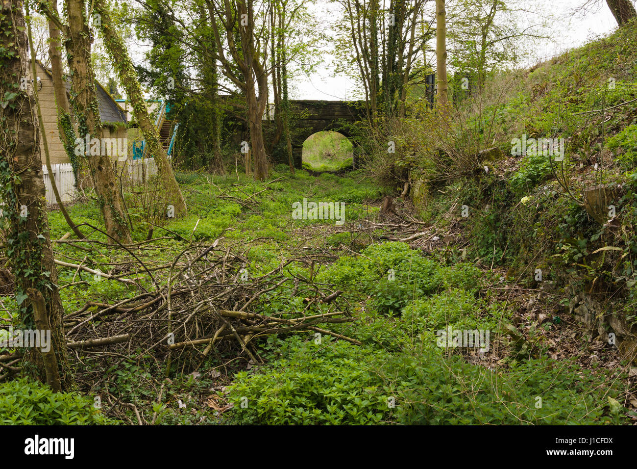 Abbandonata la via del Glyn Valley linea tramviaria a Chirk che una volta servita la cave di pietra nel Ceiriog valley e fu chiusa nel 1935 Foto Stock