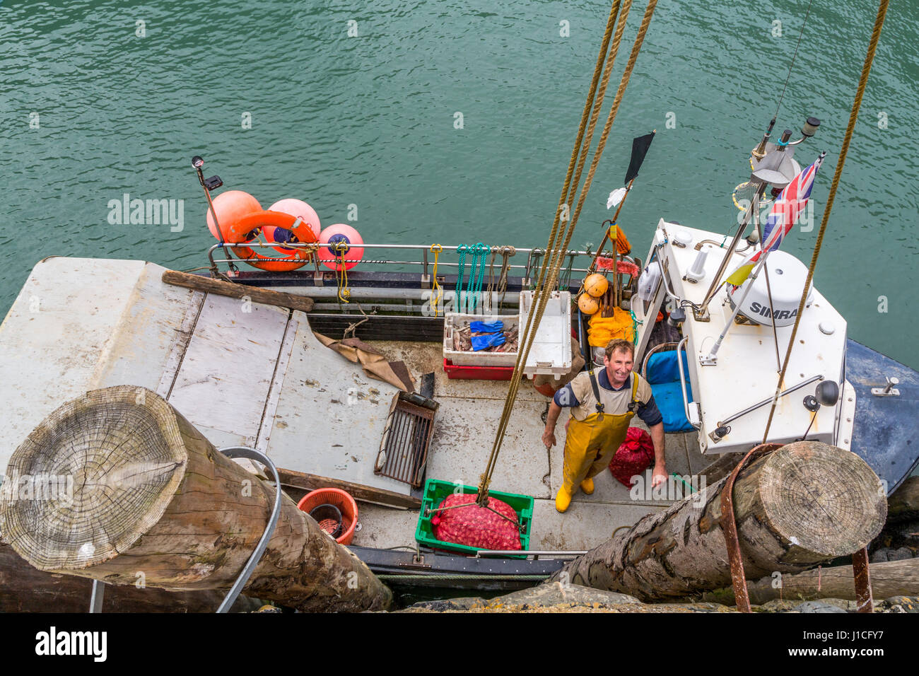 Clovelly,Devon, Inghilterra. Professional pescatori scaricano conchiglia il pescato del giorno in riparato porto di questo villaggio pittoresco NEL REGNO UNITO Foto Stock