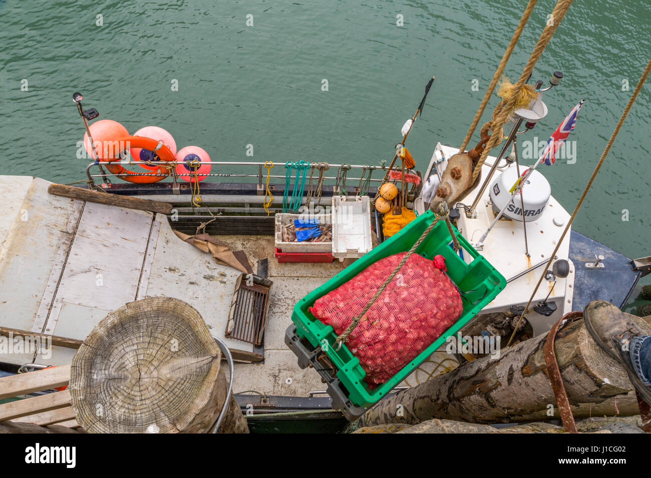 Clovelly,Devon, Inghilterra. Professional pescatori scaricano conchiglia il pescato del giorno in riparato porto di questo villaggio pittoresco NEL REGNO UNITO Foto Stock