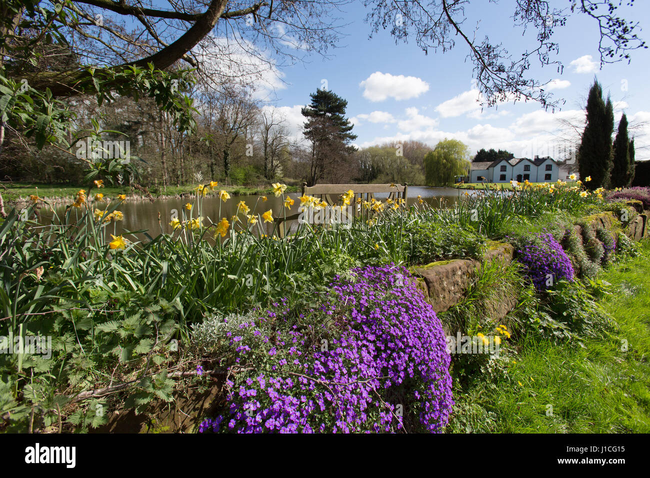 Villaggio di Aldersey, Inghilterra. Molla di pittoresca vista di un laghetto da pesca con Aldersey's Pool Farm in background. Foto Stock