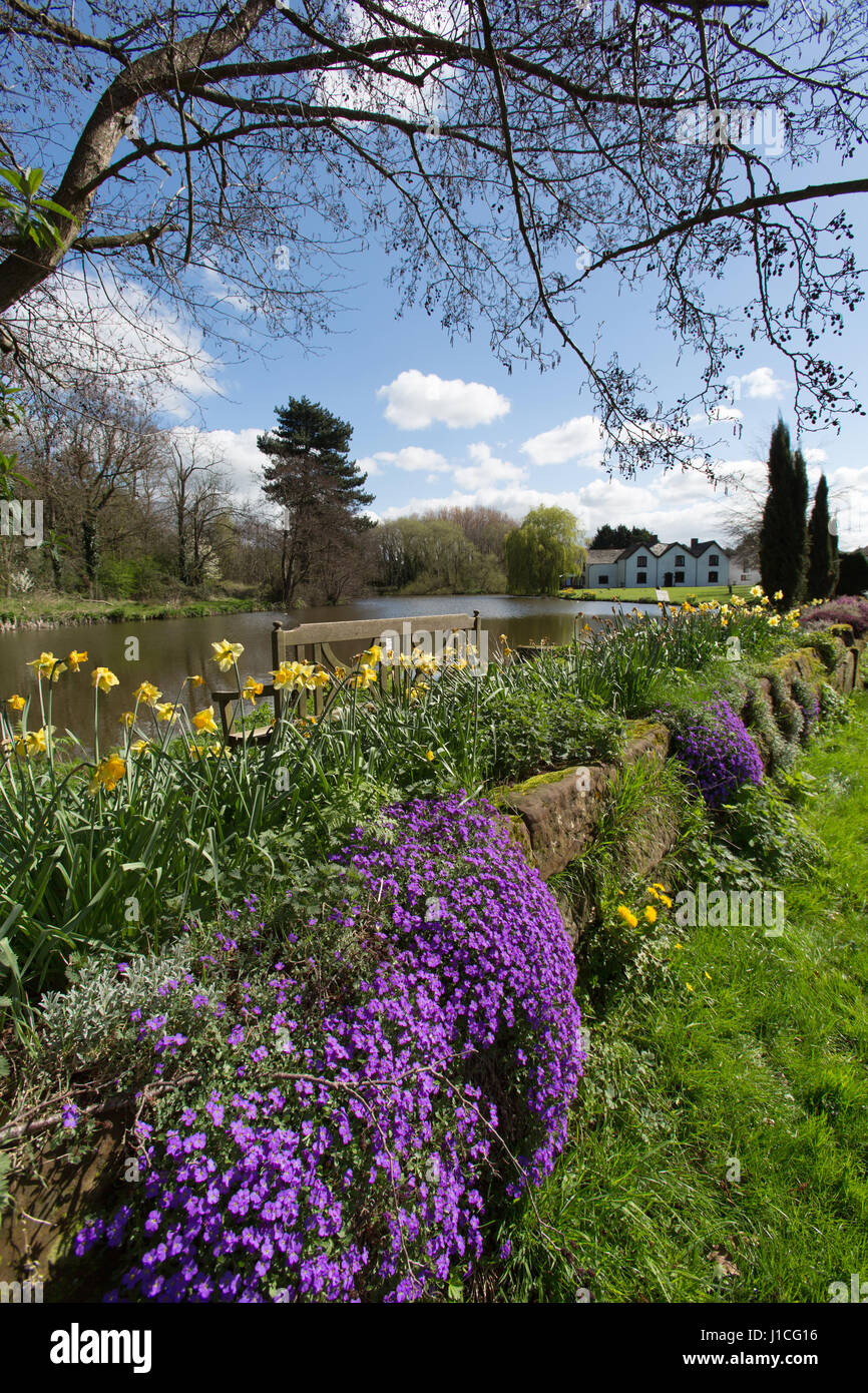 Villaggio di Aldersey, Inghilterra. Molla di pittoresca vista di un laghetto da pesca con Aldersey's Pool Farm in background. Foto Stock