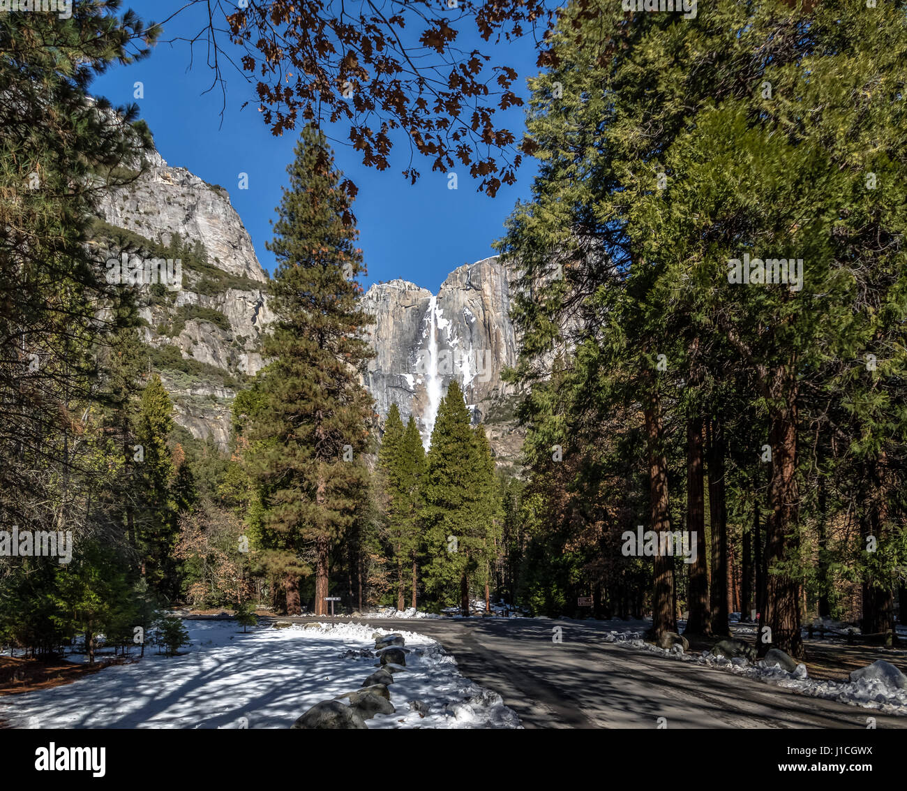 Superiore e inferiore di Yosemite Falls - Yosemite National Park, California, Stati Uniti d'America Foto Stock