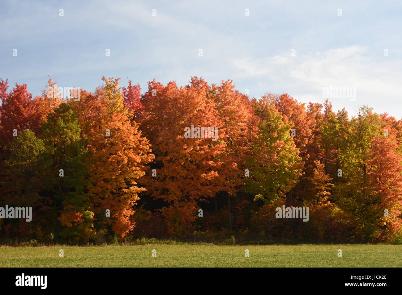 Paese di stile di vita splendidi paesaggi bliss pacifica Foto Stock