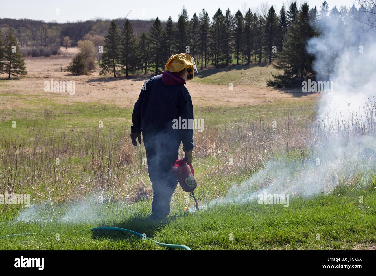 Una persona la masterizzazione di un campo in Minnesota. Foto Stock