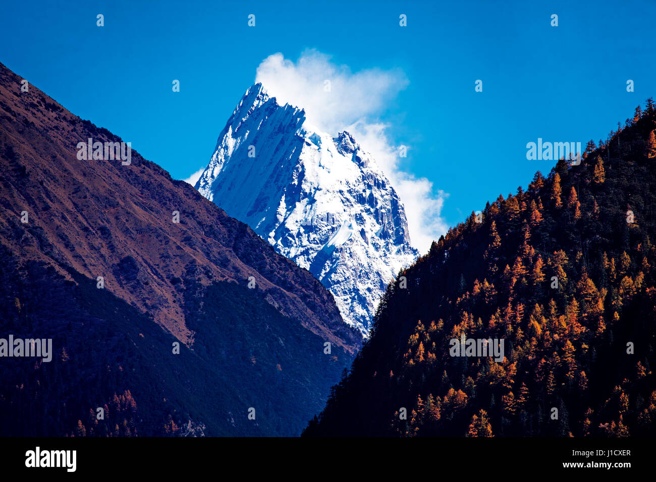 La neve in Tibet Foto Stock