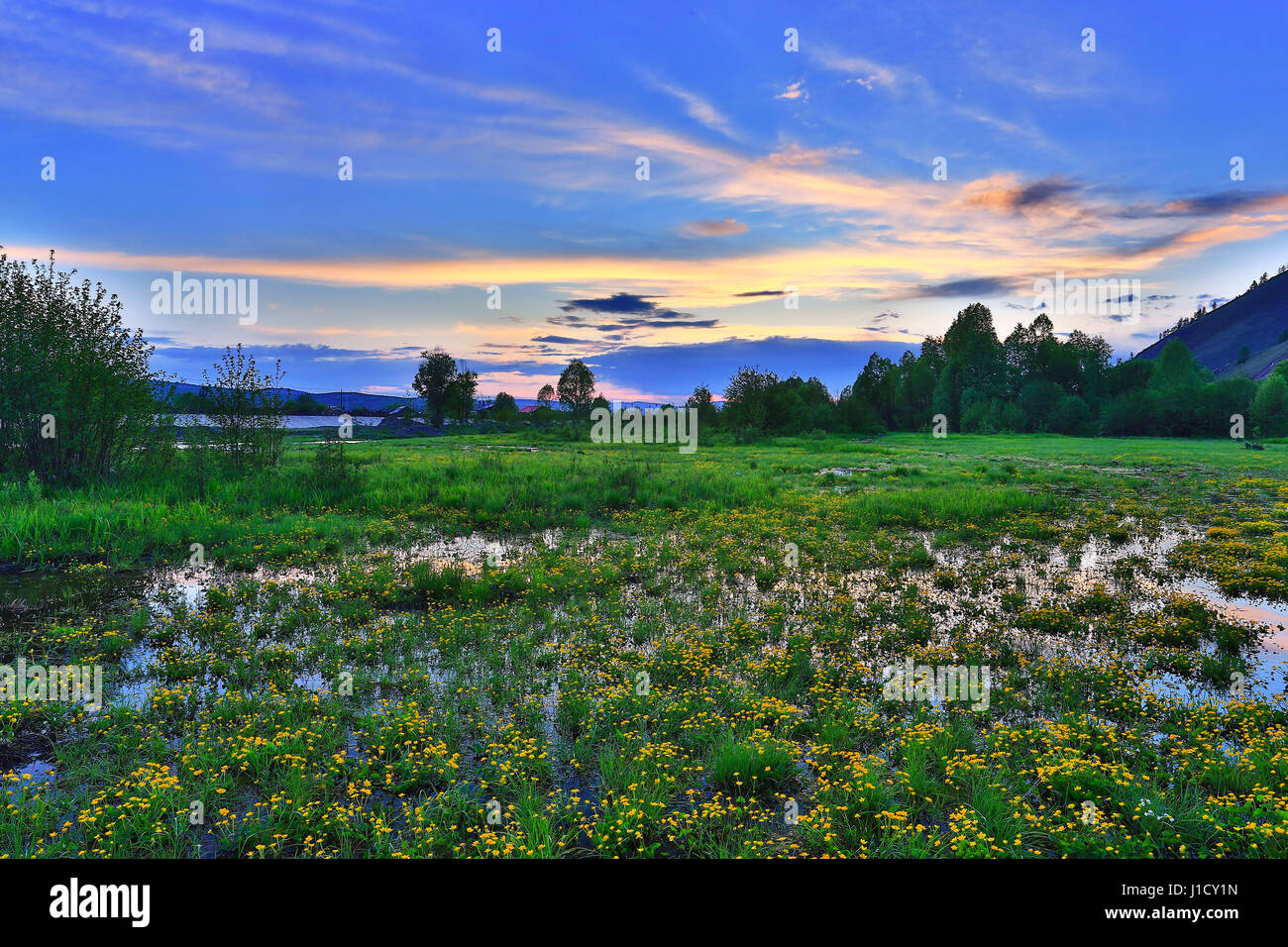 Hulun Buir prateria scenario in Mongolia interna Foto Stock