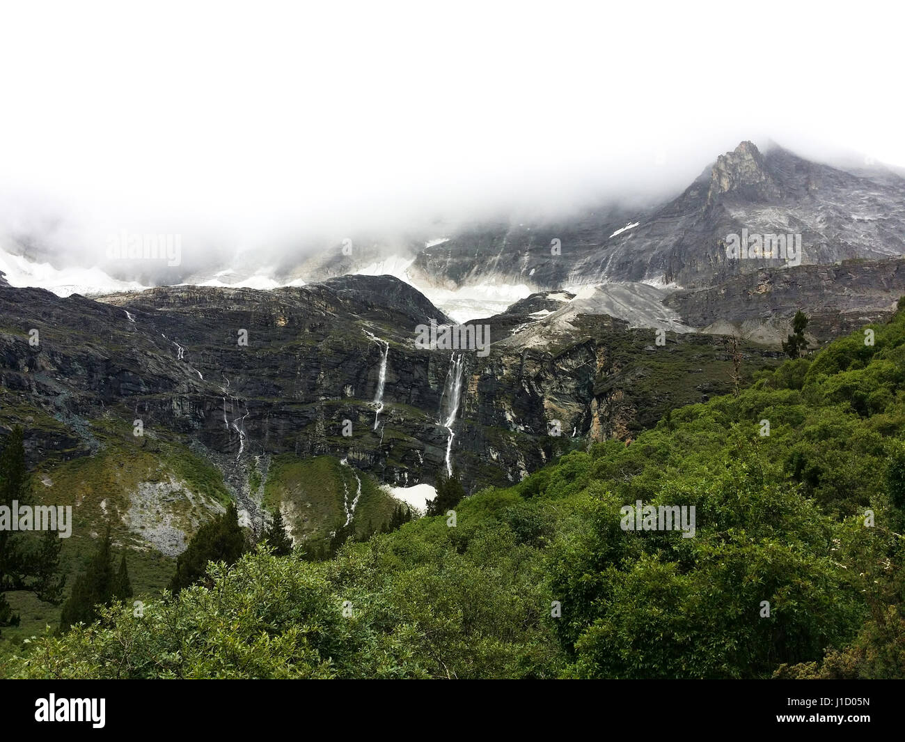 Luorong fattoria della contea di Daocheng,provincia di Sichuan,Cina Foto Stock