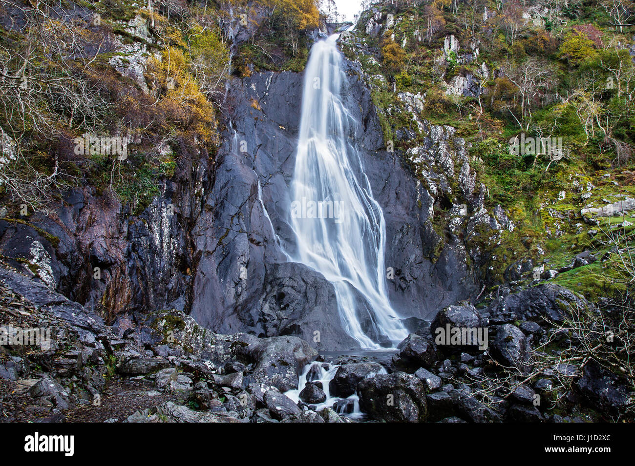 Aber Falls (Rhaeadr-fawr) vicino Abergwyngregyn Gwynedd North Wales UK Novembre 53383 Foto Stock