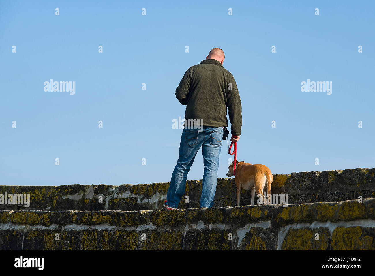 L uomo si prende il suo cane per una passeggiata lungo il molo a Charlestown Harbour, Cornwall, Regno Unito 18/04/2017 Foto Stock