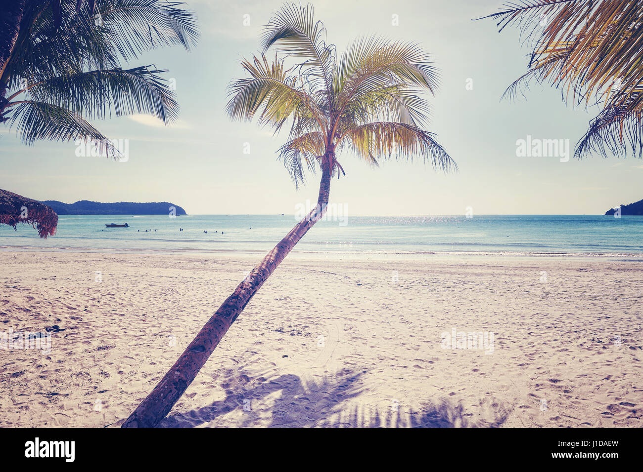 Palm tree su una bella spiaggia tropicale, tonificazione del colore applicato, Thailandia. Foto Stock