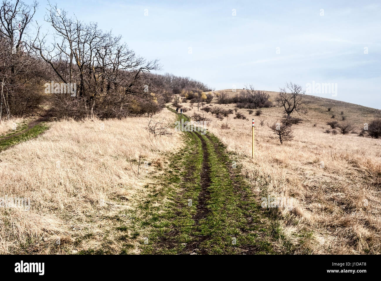Inizio primavera Montagne palava bellow devin collina con prati, alberi isolati, rosso sentiero e cielo blu in Moravia del sud Foto Stock