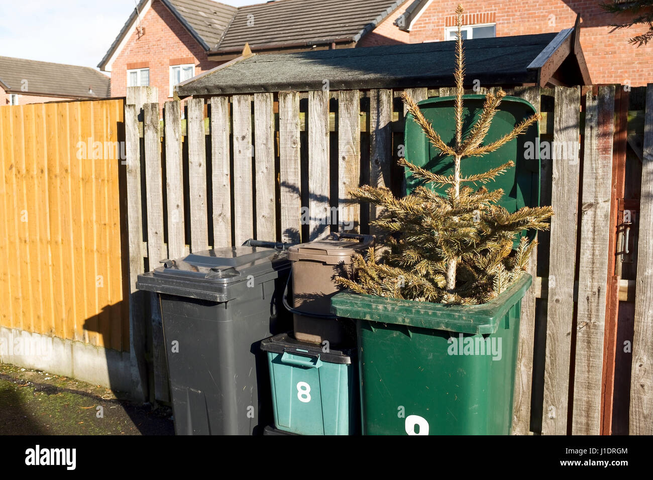 Un albero di Natale fuori di un verde giardino del riciclo dei rifiuti bin Foto Stock