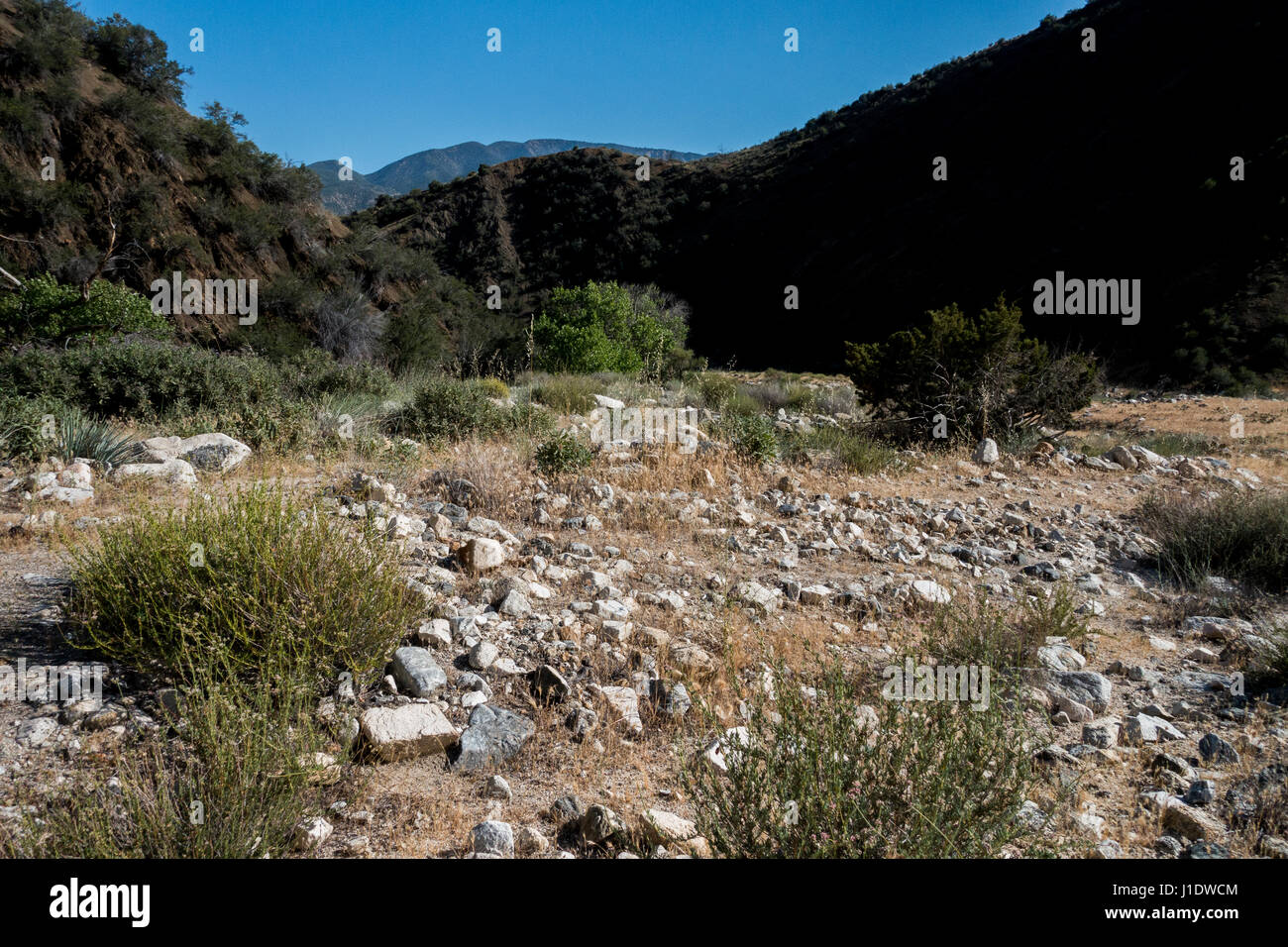 La valle dove la sorgente del Sespe Hot Springs sorge al di fuori del lato di una montagna nel deserto Sespe vicino a Ojai, California. Foto Stock