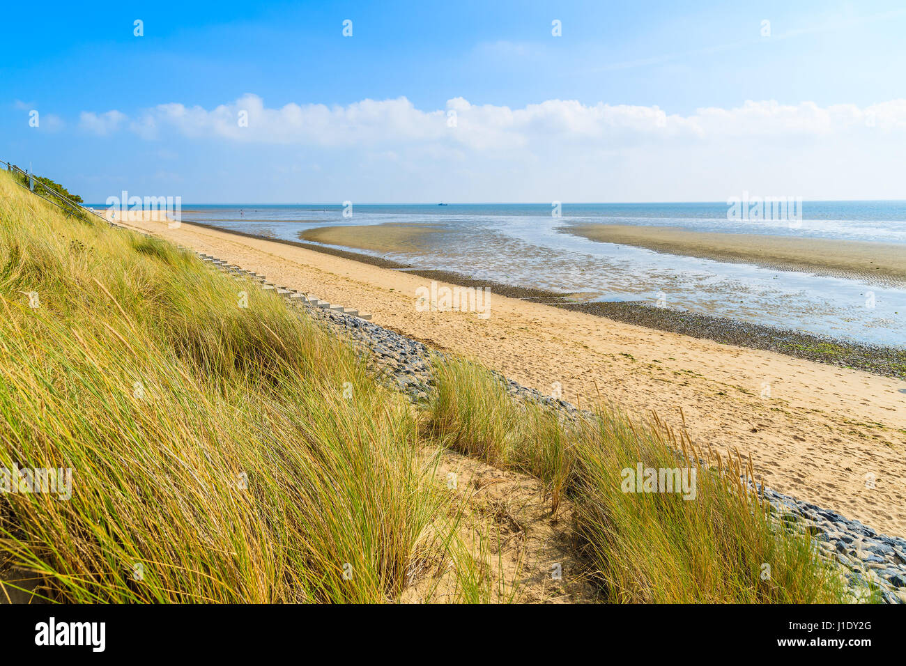 Erba verde sulla duna di sabbia in spiaggia Elenco, isola di Sylt, Germania Foto Stock