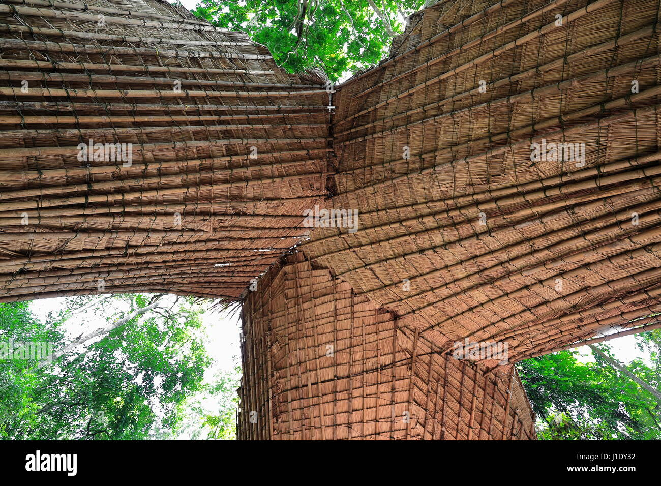 Struttura fatta di lunghi steli di bambù intrecciate con fibre che ricoprono una concessione di stand per l'escursionismo fino a 50-60 ms.alta Tat Kuang Si-Deer Dig Foto Stock