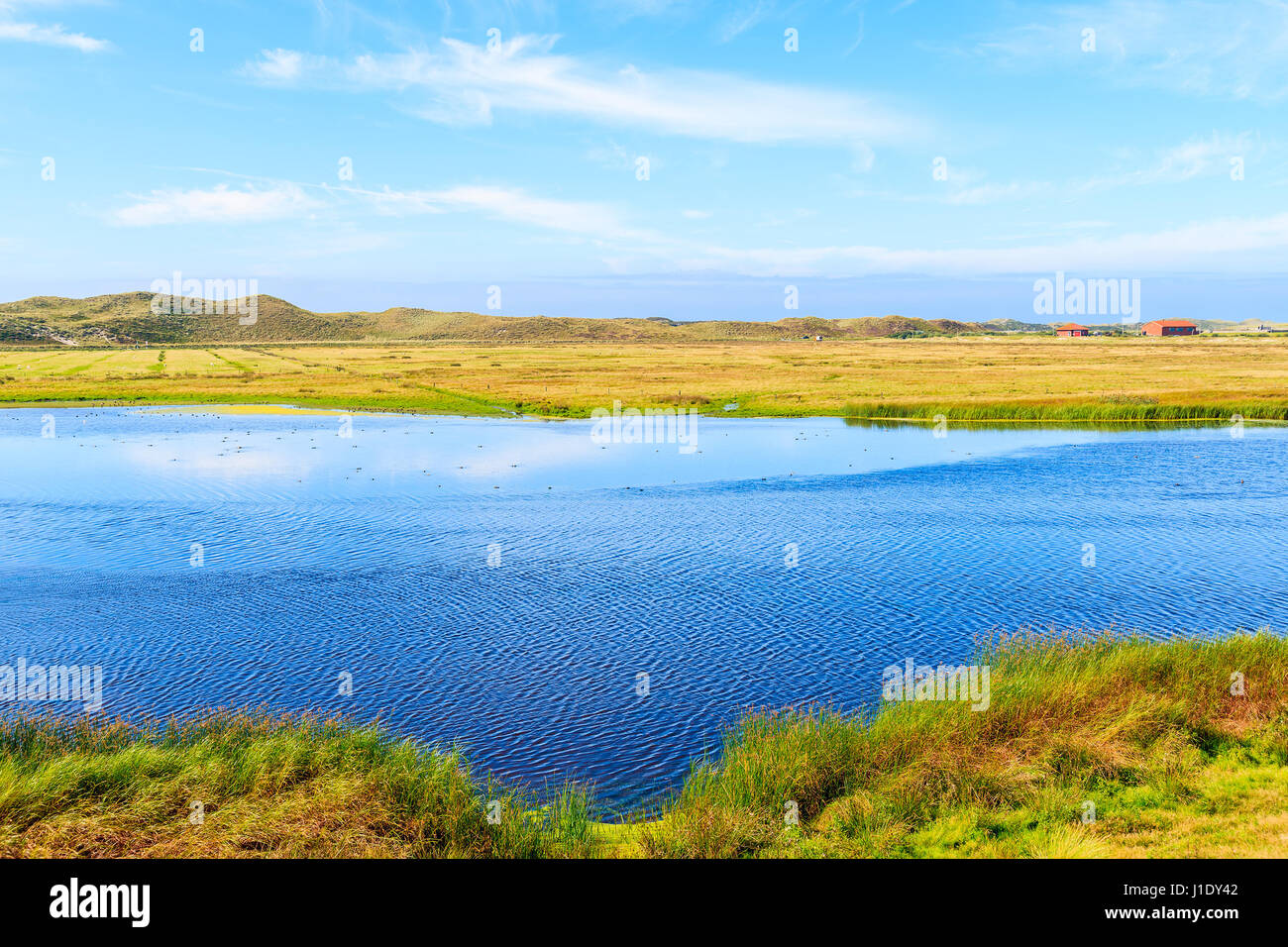 Lago e prato verde sulla costa settentrionale dell'isola di Sylt vicino a Porta Elenco, Germania Foto Stock