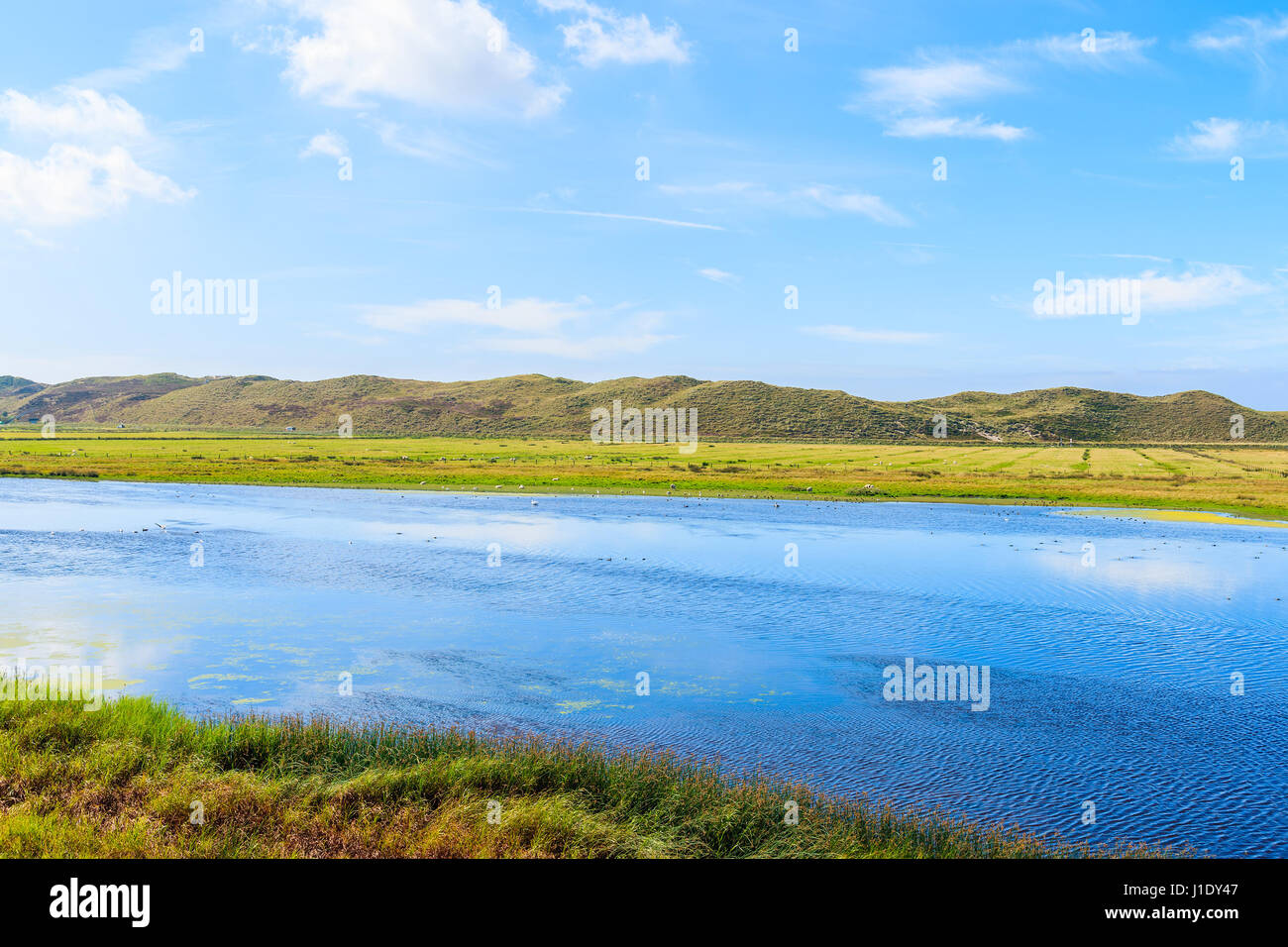 Lago e prato verde sulla costa settentrionale dell'isola di Sylt vicino a Porta Elenco, Germania Foto Stock