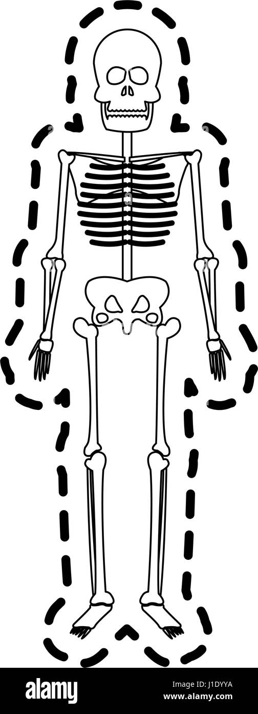 Scheletro umano immagine dell'icona Illustrazione Vettoriale