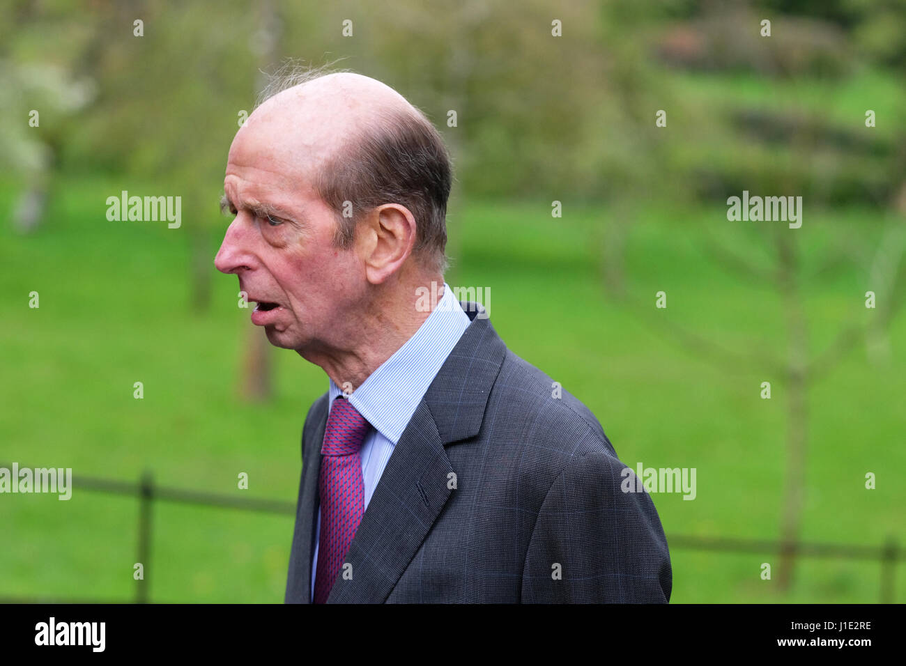 S.a.r. il Duca di Kent ora di età compresa tra 81 anni visiti gli estesi giardini a Hergest Croft in Kington Herefordshire UK. Xx Apr, 2017. Credito: Steven Maggio/Alamy Live News Foto Stock