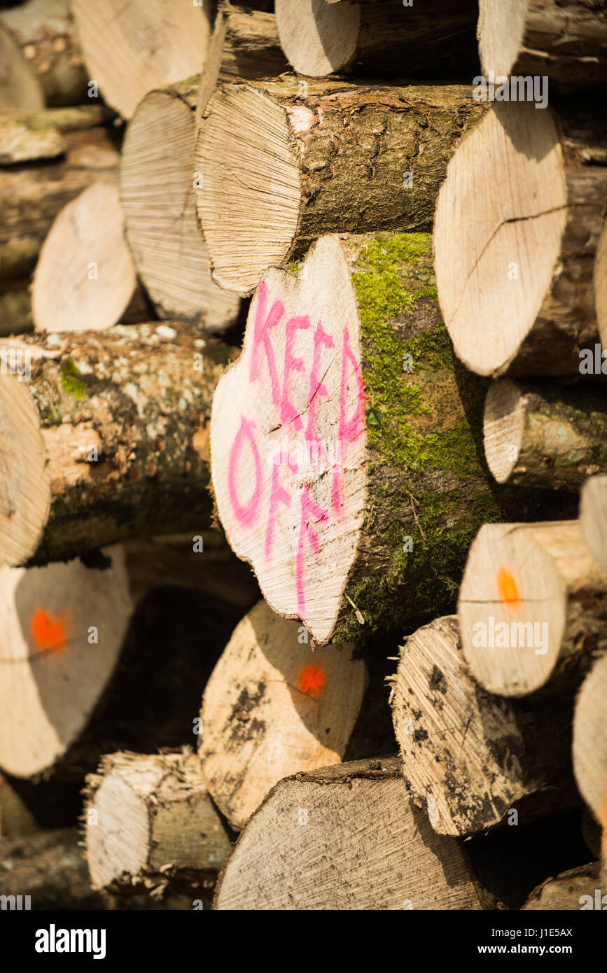 Hooke Park, Dorset, Regno Unito. Xx Apr, 2017. Tenere spento verniciato a spruzzo sul log di pile per avvertire la popolazione del pericolo di arrampicata su di loro dopo il lavoro di registrazione è stato casrried fuori. © DTNews/Alamy Live Foto Stock