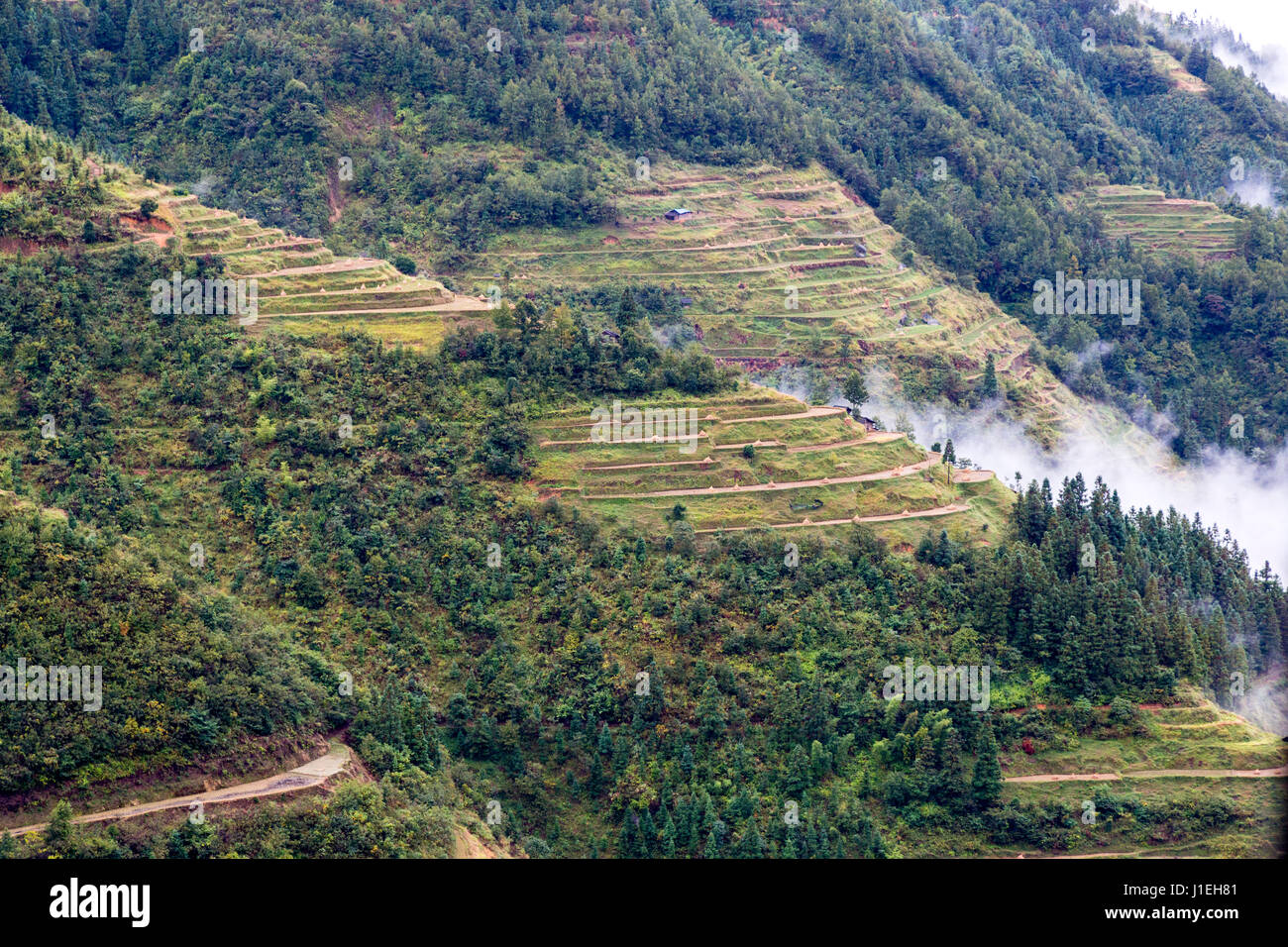 Guizhou, Cina. Colline terrazzate Agricoltura di Guizhou. Foto Stock