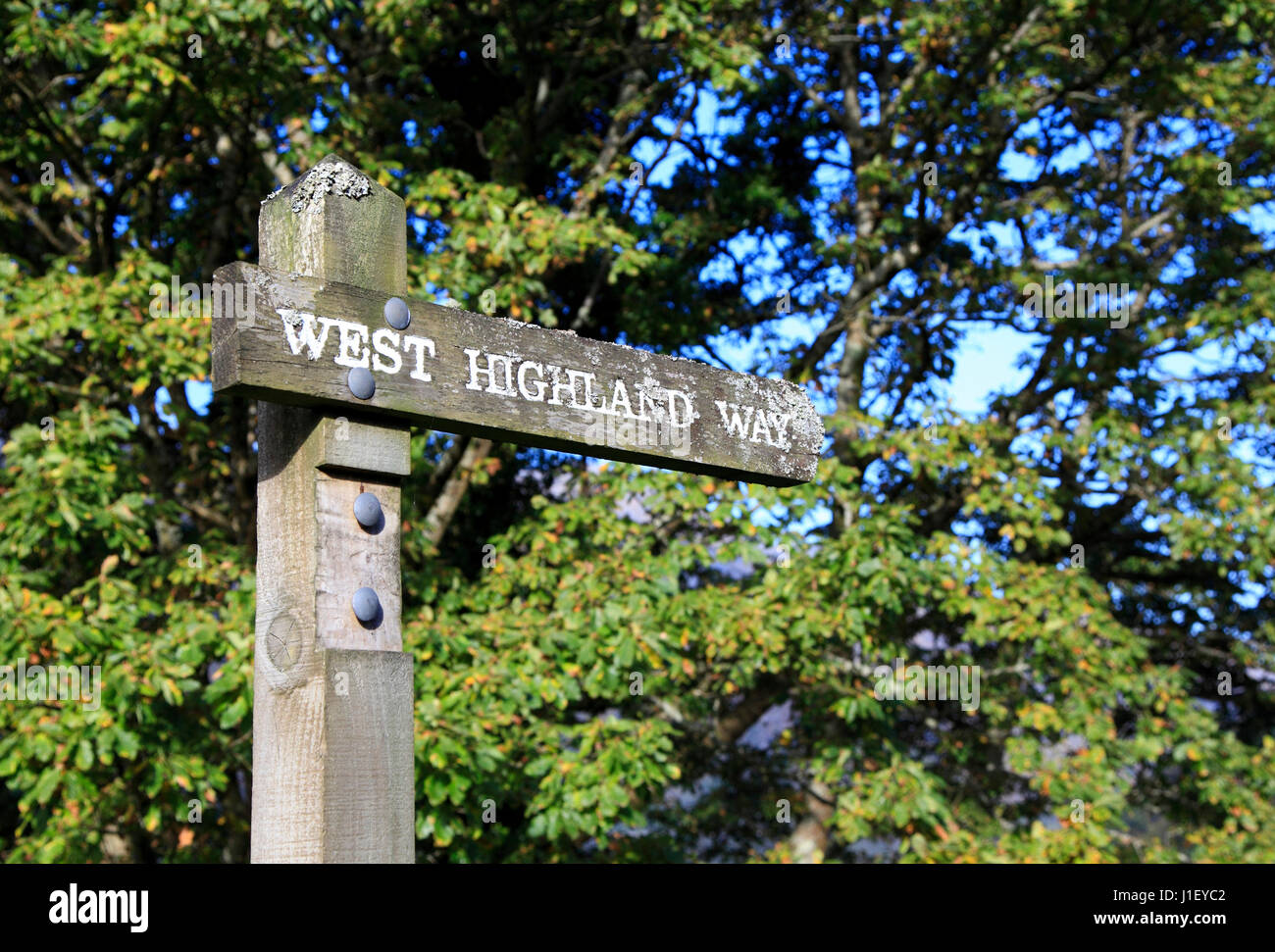 Cartello a Inversnaid per la West Highland Way a lunga distanza a piedi, Scozia, Europa Foto Stock