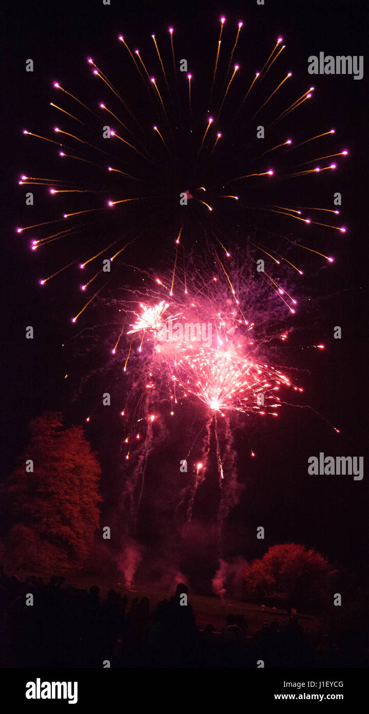 Fuochi d'artificio che esplodono nel cielo Foto Stock