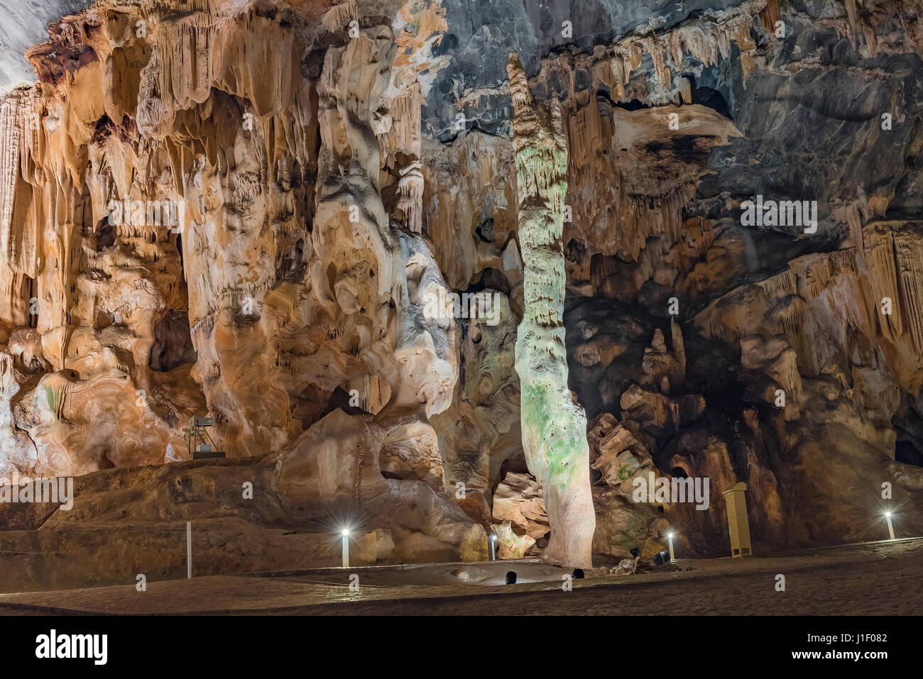 Ago Cleopatras in van Zyl Sala delle grotte Cango. È attivo un anno 150000 vecchio stalagmiti. Le alghe crescono su di essa a causa della illuminazione artificiale Foto Stock