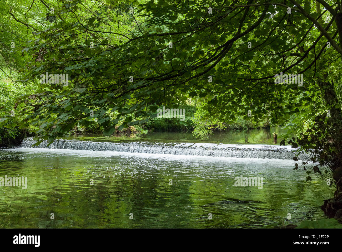 Uno stramazzo sul fiume Wye circondato da alberi e bosco. Miller Dale nel Derbyshire Dales, Parco Nazionale di Peak District, England, Regno Unito Foto Stock