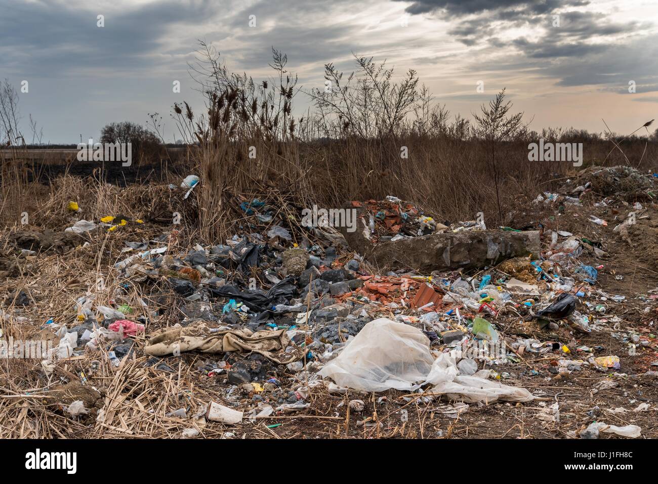 Inquinamento da rifiuti di plastica e altri imballaggi alimentari in natura con drammatica cielo nuvoloso. La dimostrazione dei problemi ambientali. Foto Stock