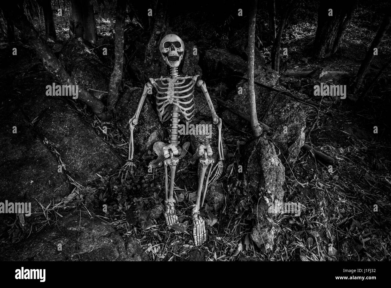 Still Life fotografia con scheletro umano nella foresta, in bianco e nero in stile con concetto scuro per Halloween Foto Stock