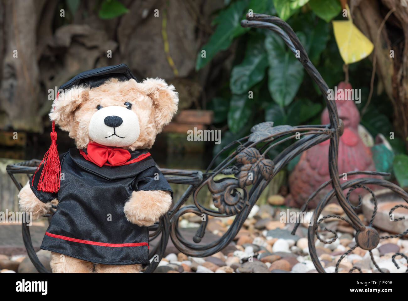 Orsacchiotto di peluche con graduazione vestaglia su sfondo giardino Foto  stock - Alamy