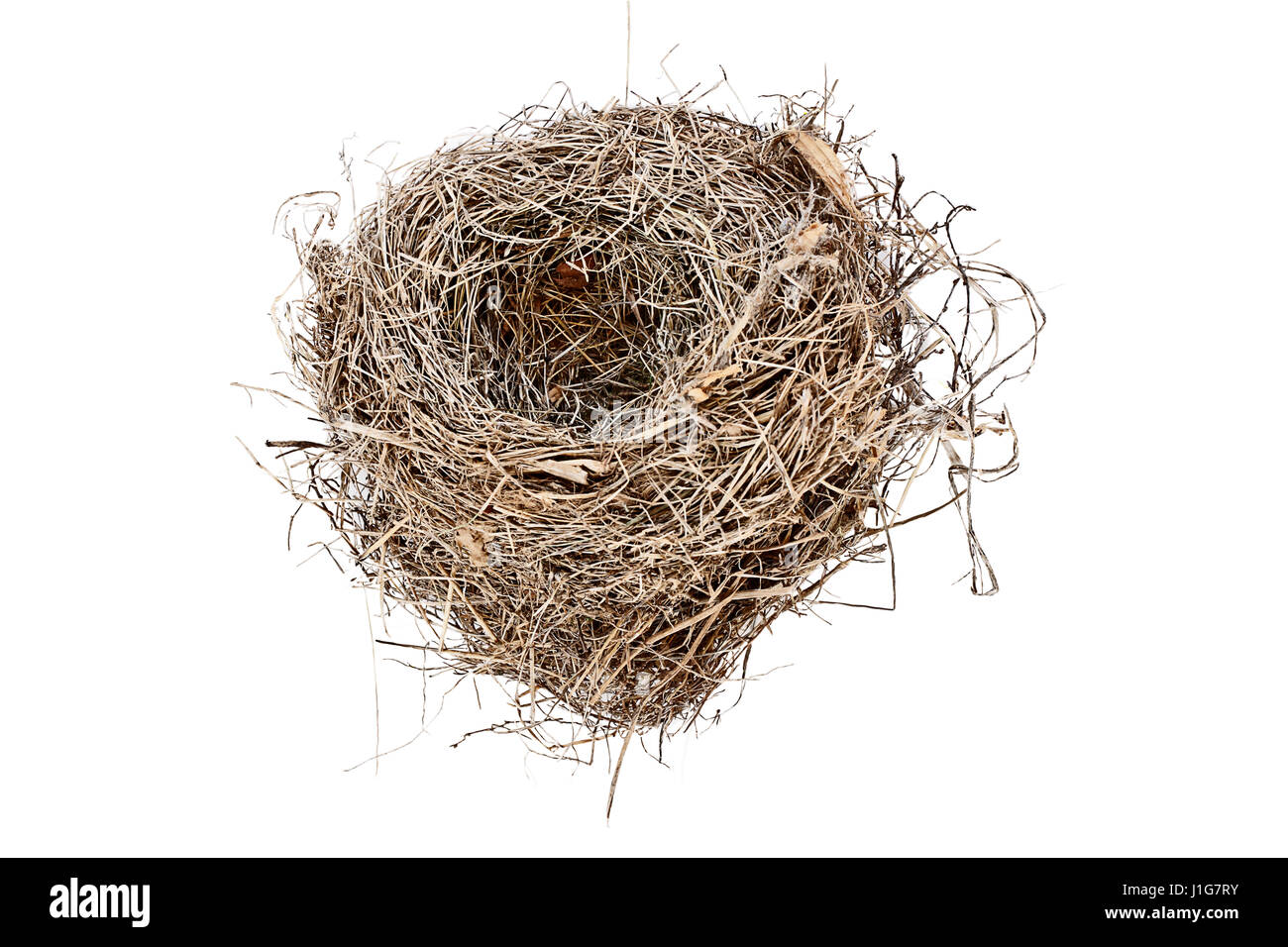 Svuotare bird nest isolate su uno sfondo bianco. Immagine ripresa dal di sopra con una copia dello spazio. Foto Stock