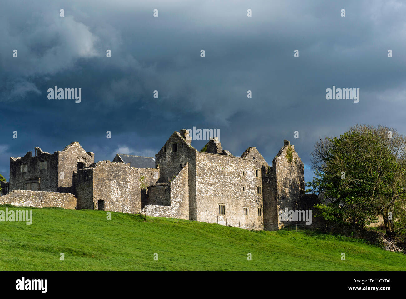 Beaupre castello vicino Cowbridge nel Vale of Glamorgan, Galles del Sud. Un popolare visitor location, Beaupre Castello sorge circondato da terreni agricoli Foto Stock